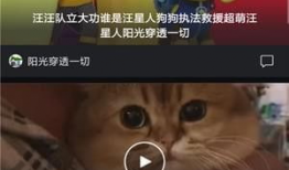 短视频 微拍,捕捉生活瞬间，展现时代风采